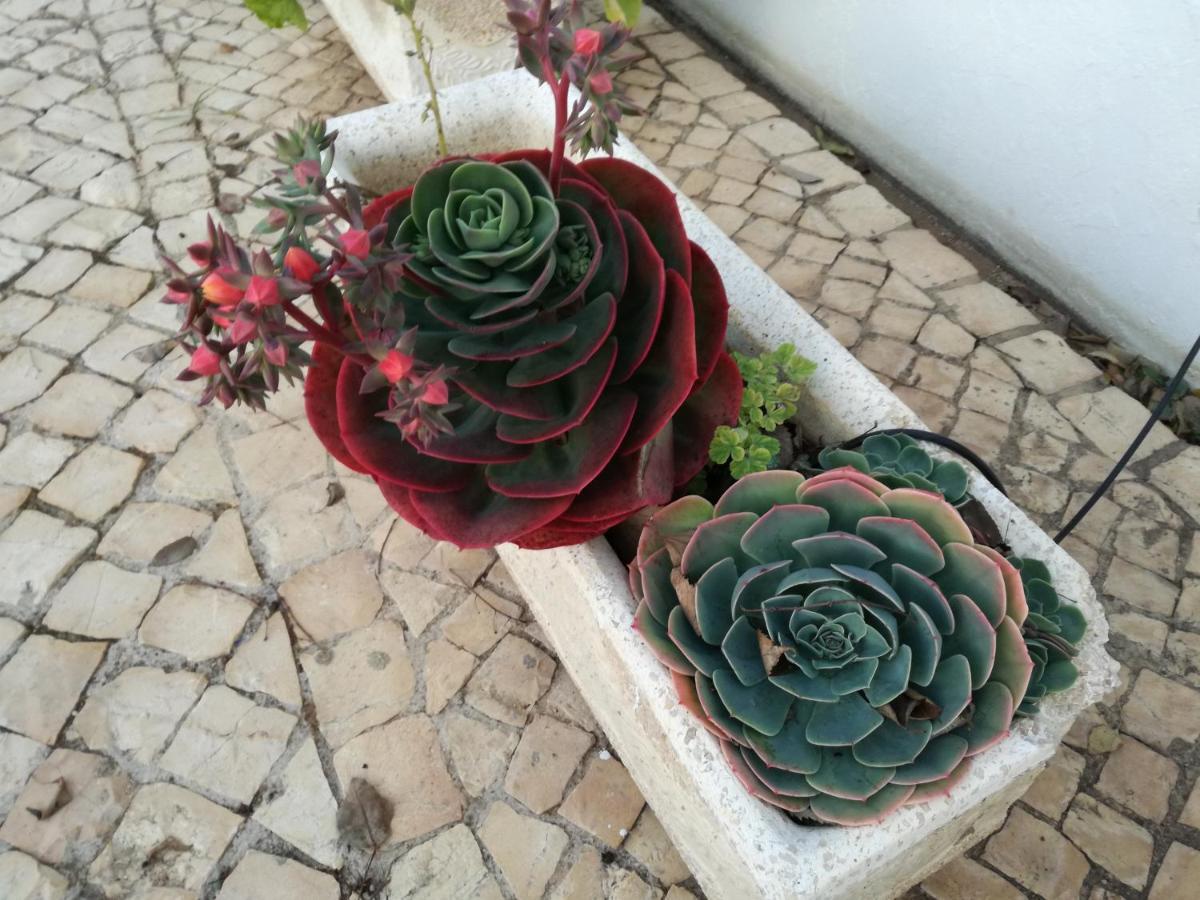 Casa Toscano ลากอส ภายนอก รูปภาพ